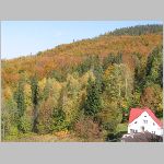 165-6540_IMG.JPG